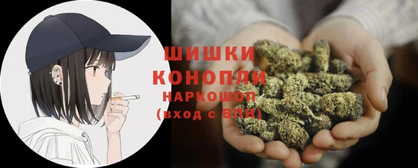 PSILOCYBIN Липки