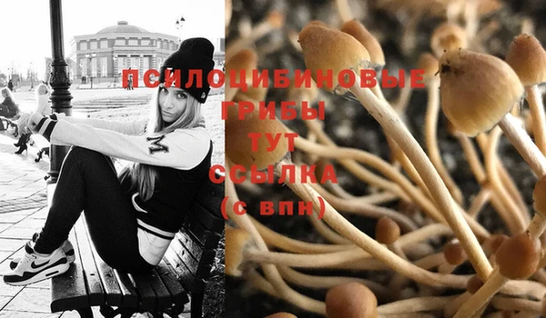 PSILOCYBIN Липки