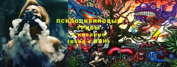 PSILOCYBIN Липки